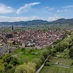 L'instant Douceur - Parking Gratuit Prive - Terrasse Exterieure - Commerces A Proximite - Proche Colmar *