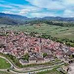 L'instant Douceur - Parking Gratuit Prive - Terrasse Exterieure - Commerces A Proximite - Proche Colmar *