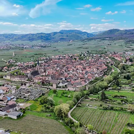 Apartman L'instant Douceur - Parking Gratuit Prive - Terrasse Exterieure - Commerces A Proximite - Proche Colmar Bergheim