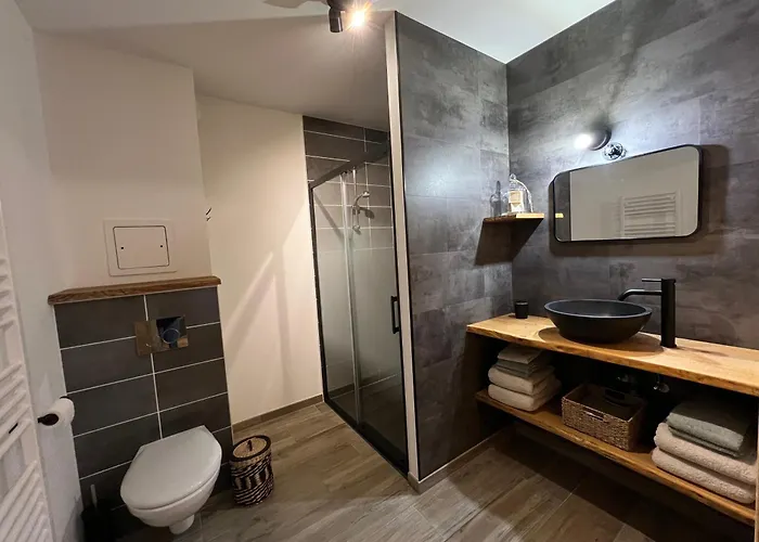 公寓 L'instant Douceur - Parking Gratuit Prive - Terrasse Exterieure - Commerces A Proximite - Proche Colmar